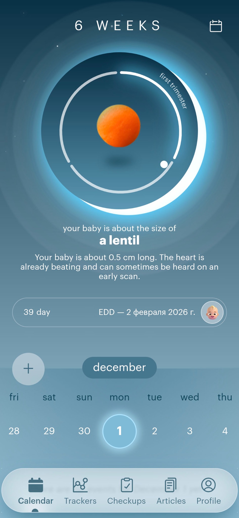 Newborn Checkups: What Parents Can Record
