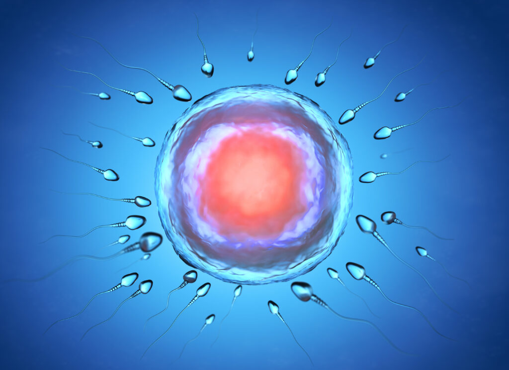 How to Use an Ovulation Tracker